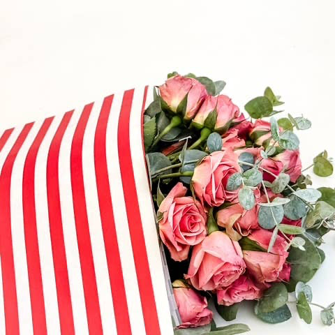 Ecowaterproof 70cm x 50m MINISTRIPES Rojo