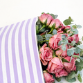 Ecowaterproof 70cm x 50m MINISTRIPES Lavanda