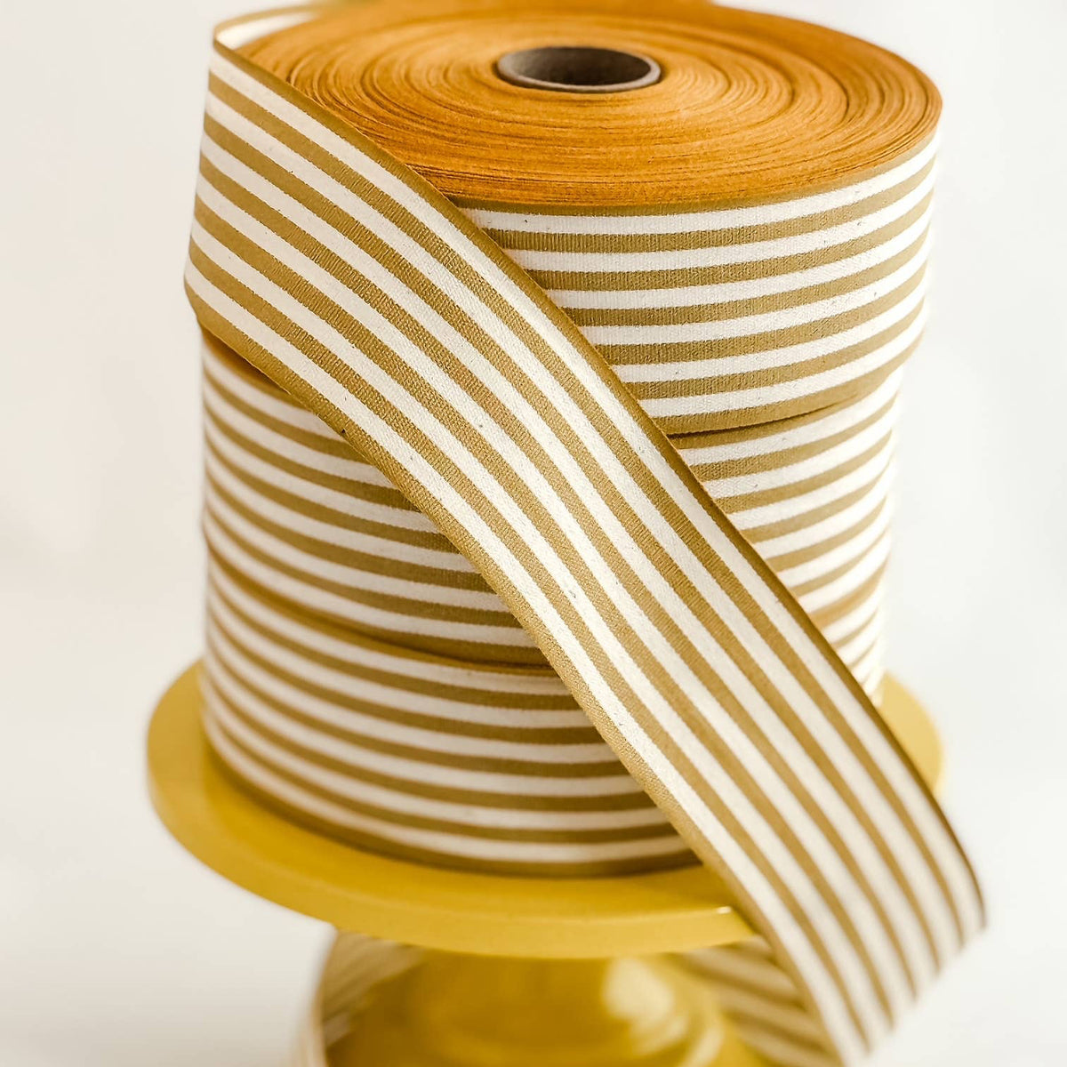 Cotton Ribbon 13 MAXI 55mm x 50m Mustard/Crema