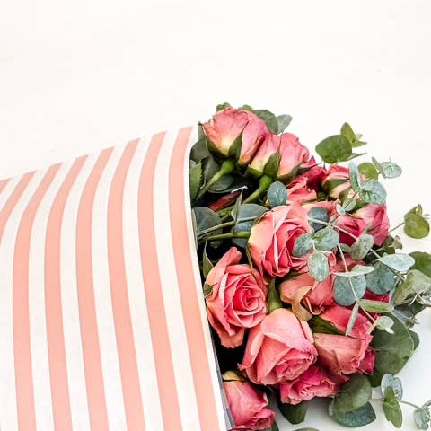 Ecowaterproof 70cm x 50m MINISTRIPES  Peach