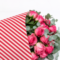 Ecowaterproof 70cm x 50m CANDY CANE Crema/Rojo