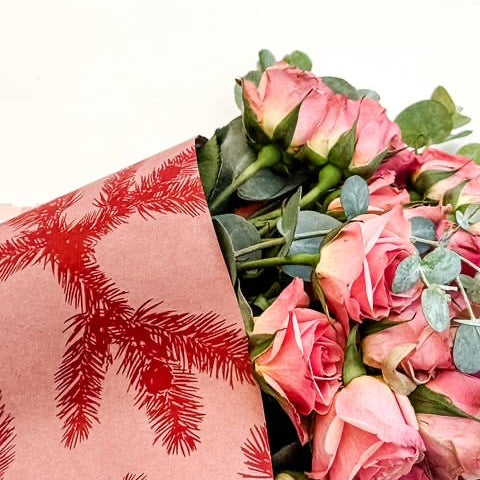 Ecowaterproof Kraft 70cm x 50m ABETO Rosa Vintage/Rojo