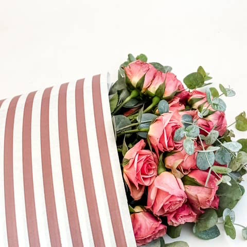 Ecowaterproof 70cm x 50m MINISTRIPES Rosa Vintage