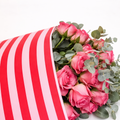Ecowaterproof 70cm x 50m STRIPES Candy Pink/Rojo