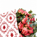 Ecowaterproof 70cm x 50m CROWN Rojo
