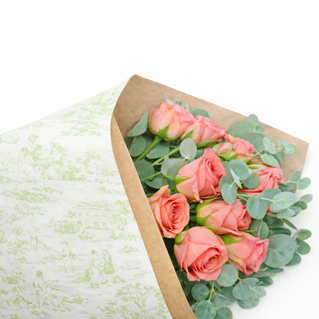 Ecowaterproof Kraft 70cm x 50m VINTAGE GARDEN Blanco/Olive
