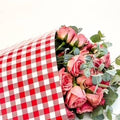 Ecowaterproof 70cm x 50m MINIVICHY Rojo