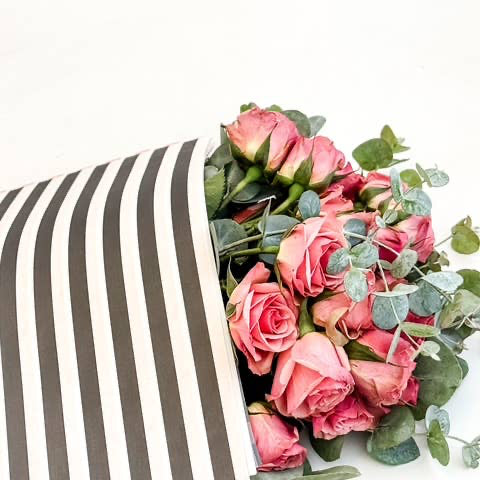Ecowaterproof 70cm x 50m MINISTRIPES Negro