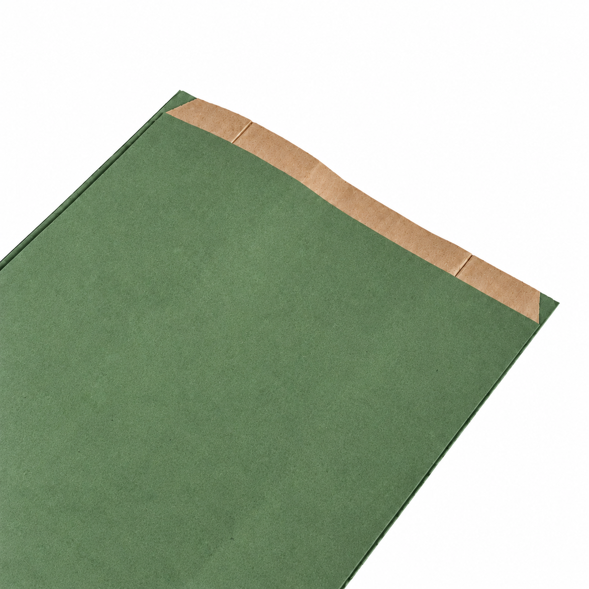 Sacs Kraft larges 24 + 9 x 42 cm 100u LISSE Vert Vintage