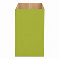 Remini Kraft Envelopes 9x17cm 100pk PLAIN Olive