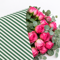 Ecowaterproof 70cm x 50m CANDY CANE Crema/Verde Vintage