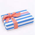Luxury Roll 70cm x 100m STRIPES Sky Blue