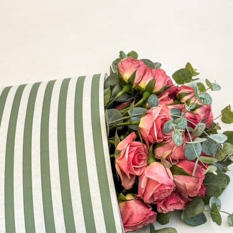 Ecowaterproof 70cm x 50m MINISTRIPES Verde Vintage
