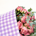 Ecowaterproof 70cm x 50m MINIVICHY Lavanda